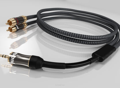 Jack / 2 RCA