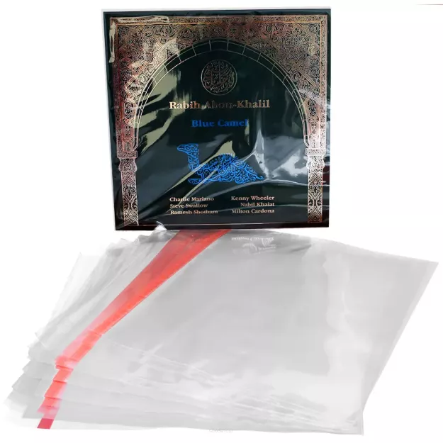 Simply Analog PP Self-Sealing Sleeves 12