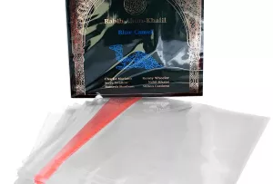 Simply Analog PP Self-Sealing Sleeves 12" (25 sztuk) - Samozamykane / Zaklejane Koszulki PP na Okładki Płyt Winylowych