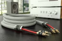 Ricable Invictus Speaker Reference MKII - 2x2.0m - 3