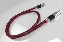 Ricable Invictus AES/EBU - 0.5m - 2